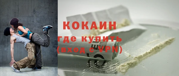 индика Аркадак