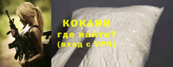 индика Аркадак