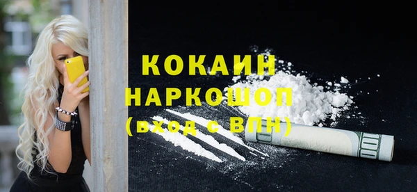 индика Аркадак
