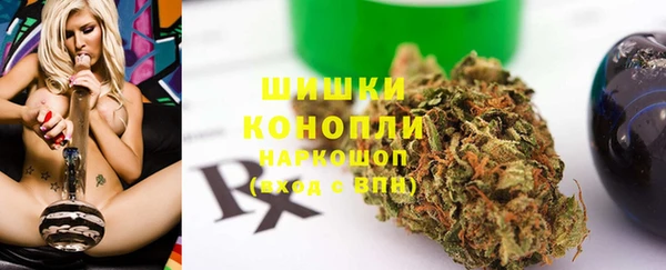 бошки Алексин