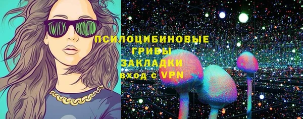 бошки Алексин